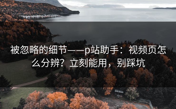 被忽略的细节——p站助手：视频页怎么分辨？立刻能用，别踩坑
