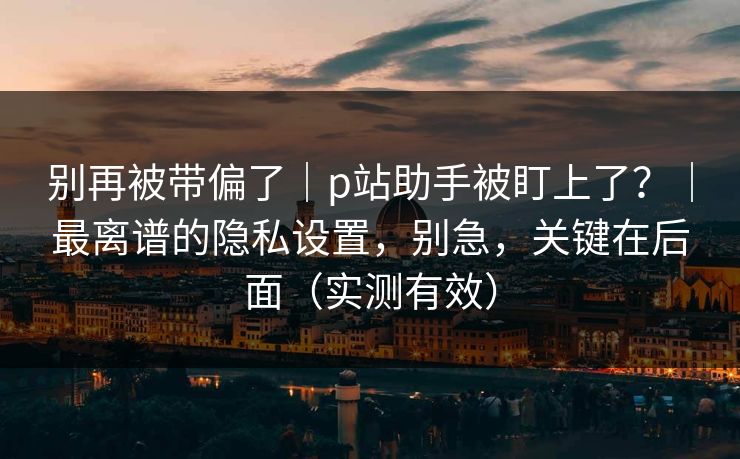 别再被带偏了｜p站助手被盯上了？｜最离谱的隐私设置，别急，关键在后面（实测有效）