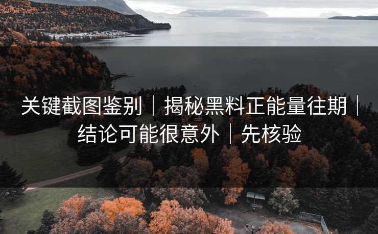 关键截图鉴别｜揭秘黑料正能量往期｜结论可能很意外｜先核验