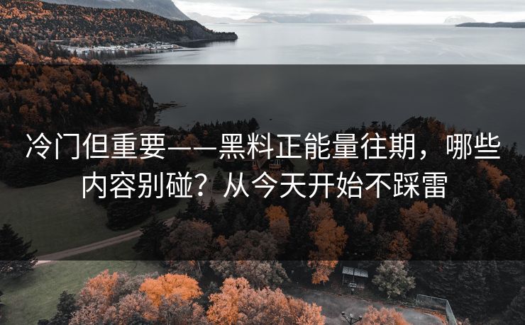 冷门但重要——黑料正能量往期，哪些内容别碰？从今天开始不踩雷