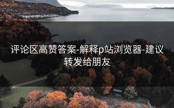 评论区高赞答案-解释p站浏览器-建议转发给朋友