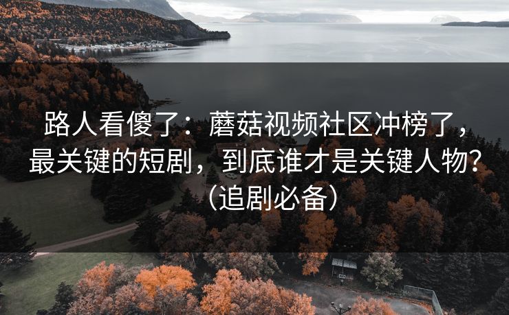路人看傻了：蘑菇视频社区冲榜了，最关键的短剧，到底谁才是关键人物？（追剧必备）