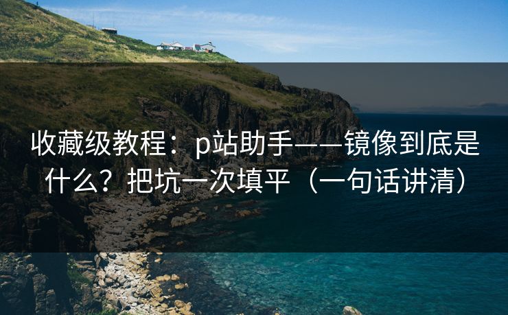 收藏级教程：p站助手——镜像到底是什么？把坑一次填平（一句话讲清）