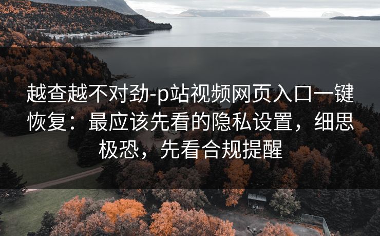 越查越不对劲-p站视频网页入口一键恢复：最应该先看的隐私设置，细思极恐，先看合规提醒