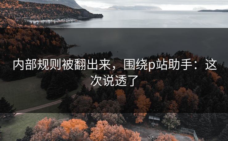 内部规则被翻出来，围绕p站助手：这次说透了