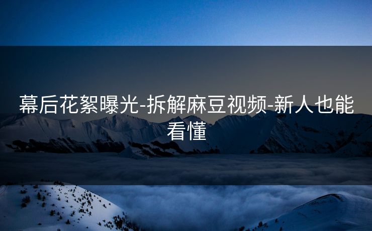 幕后花絮曝光-拆解麻豆视频-新人也能看懂