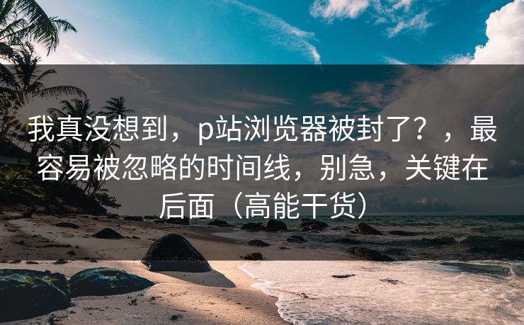 我真没想到，p站浏览器被封了？，最容易被忽略的时间线，别急，关键在后面（高能干货）
