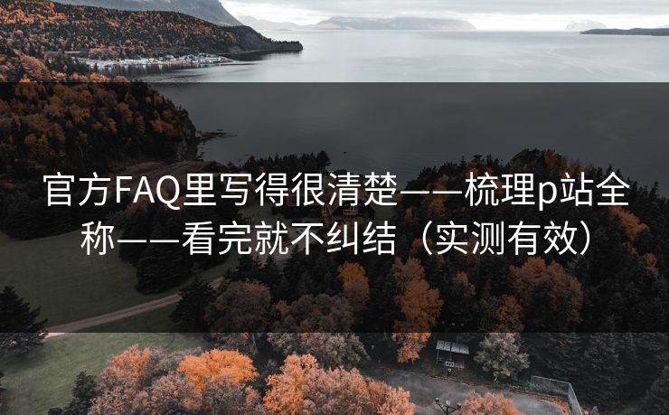 官方FAQ里写得很清楚——梳理p站全称——看完就不纠结（实测有效）