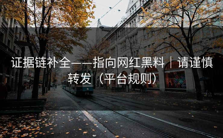 证据链补全——指向网红黑料｜请谨慎转发（平台规则）
