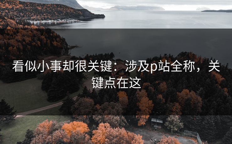 看似小事却很关键：涉及p站全称，关键点在这