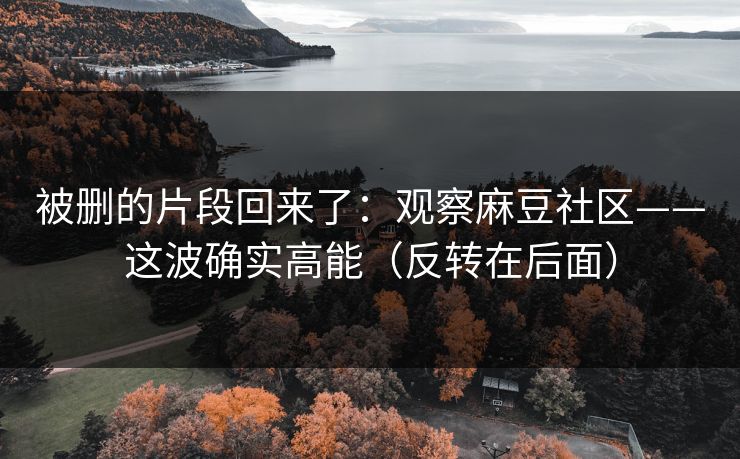 被删的片段回来了：观察麻豆社区——这波确实高能（反转在后面）